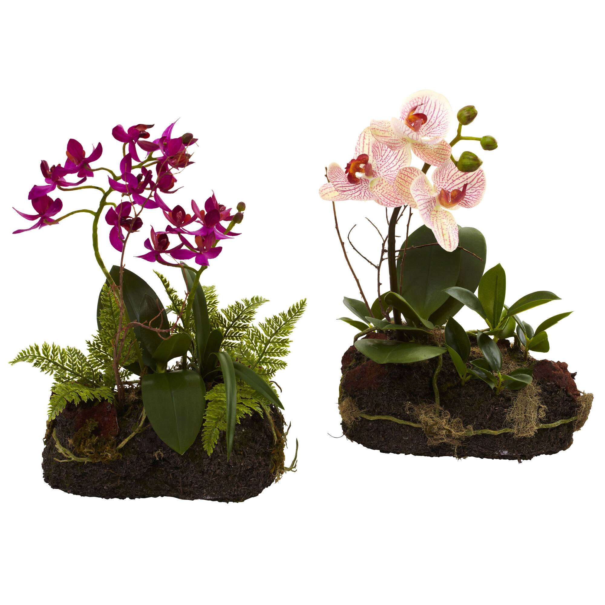 10" Orchid Island Arrangement, 2ct.
